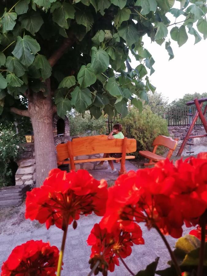 Szentesi Panzio Bed & Breakfast Fertőrákos Bagian luar foto