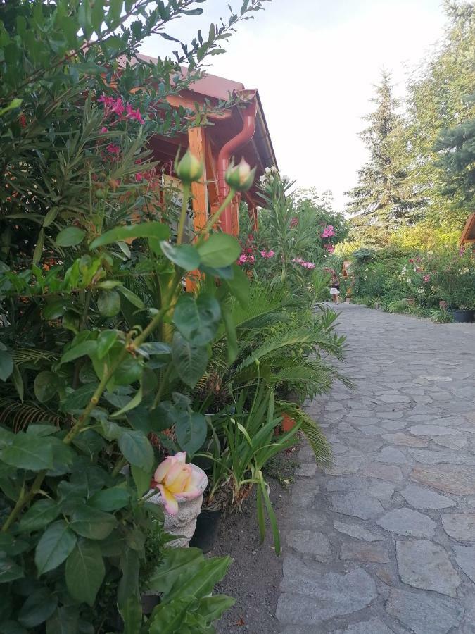 Szentesi Panzio Bed & Breakfast Fertőrákos Bagian luar foto
