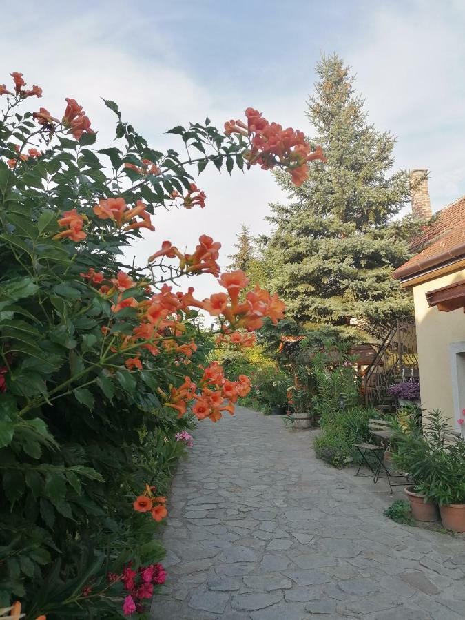 Szentesi Panzio Bed & Breakfast Fertőrákos Bagian luar foto