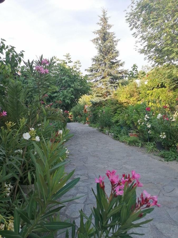 Szentesi Panzio Bed & Breakfast Fertőrákos Bagian luar foto
