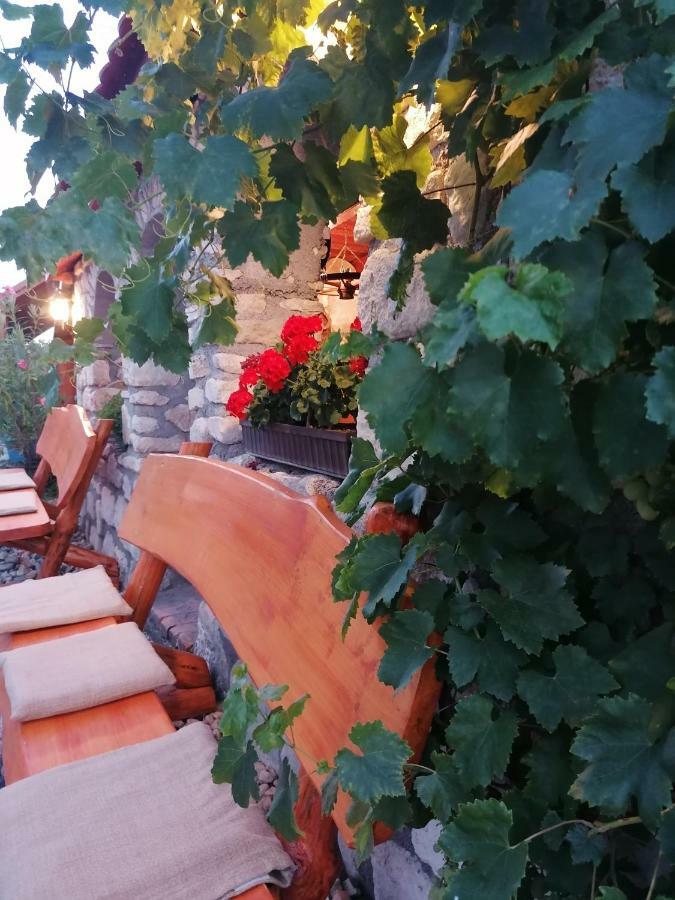 Szentesi Panzio Bed & Breakfast Fertőrákos Bagian luar foto